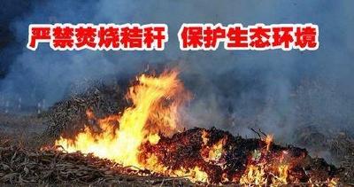 枝江秸秆禁烧监控系统在湖北率先并入“雪亮工程”