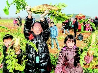 湖北各地：欢欢喜喜迎新年