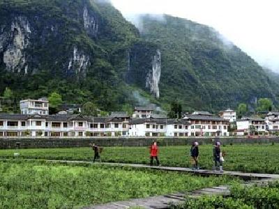 阔步迈向“强美富” 湖北拉开乡村振兴战略序幕