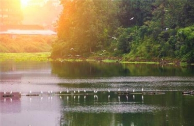 宜昌对碧水保卫战“迎春行动”进行再部署