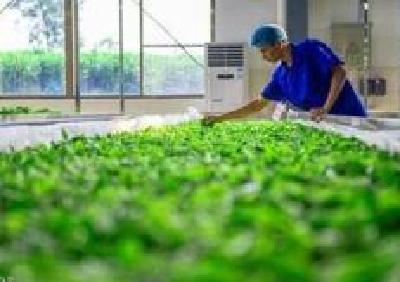 @宜昌所有农民！市农科院今年启动20余个项目助农增收