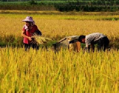 宜都为65位农民出书立传