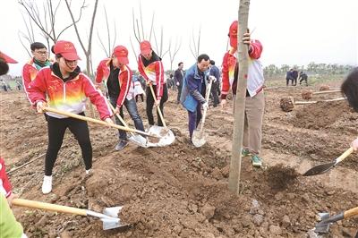 宜昌长江生态修复 推进现代化生态强市建设