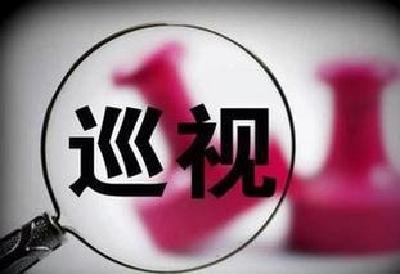 宜昌市委巡察组巡察反馈问题整改率达91%