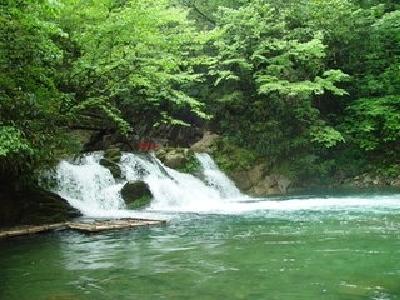 后河国家级自然保护区发现中国植物新种 命名