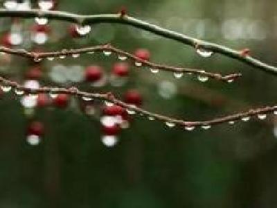 外出记得添衣带伞 清明节低温降雨来袭