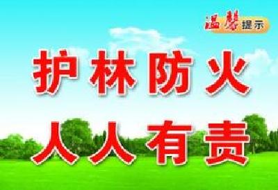 宜昌部署森林防火和防汛抗旱工作
