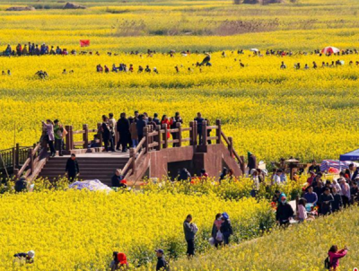 全省清明游客量突破1600万人次 赏花游成主角