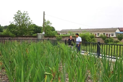 猇亭借助微动力换得“放心水”