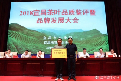 2018宜昌茶叶品质鉴评结果出炉 宜红金奖花落五峰白溢春