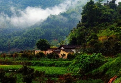漫漫乡路总关情——枝江市人大代表李勇驻村工作记