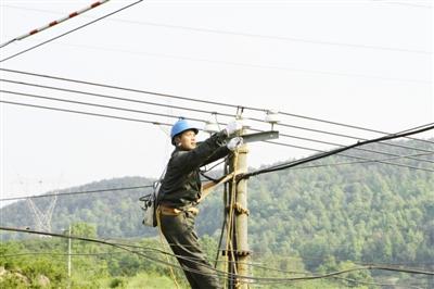 劳模风采丨大山深处光明守护者