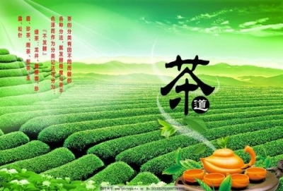 2018茶叶国际采购商宜昌行活动侧记