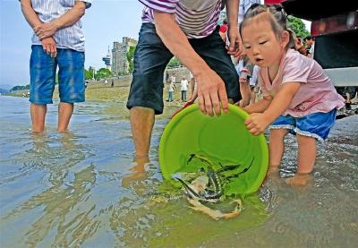 宜昌中华鲟自然保护区禁捕后首次放流 