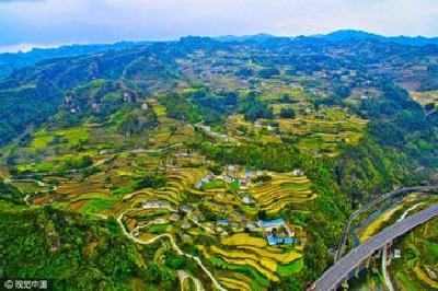 省住建厅调研组来宜调研 农村人居环境改善工作获肯定