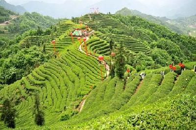 三峡日报评论丨建设“绿净齐富厚和”的美丽乡村