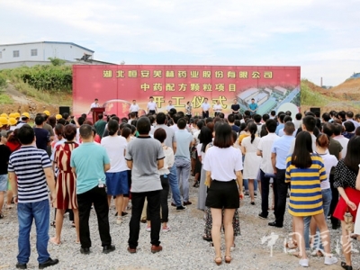 夷陵区以项目建设支撑高质量发展