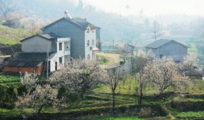 借全域旅游之势发力乡村振兴 上半年实施148个旅游项目