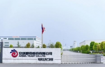 安琪酵母：从宜昌飞向世界的国际品牌