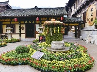 昭君文化主题菊花展开园