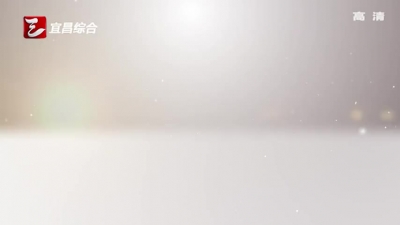 宜昌深入开展扫黑除恶专项斗争