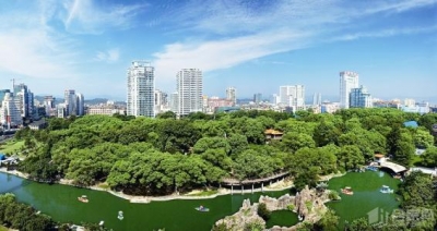 浦江“故事树”引发的宜昌思考丨城市，多一份理解和包容