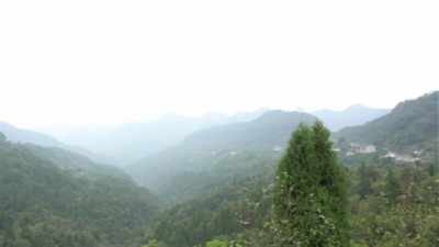 走进点军安梓溪村 看贫困村的生态富村路