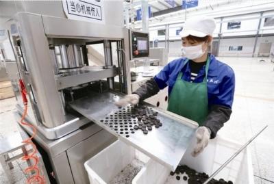 宜昌青砖茶俏销内蒙古