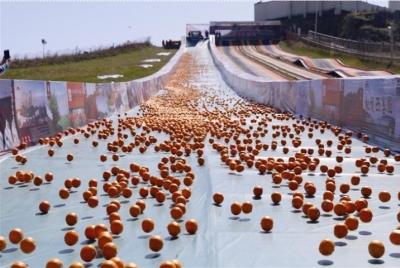 “奔跑吧！柑橘”公益活动启幕