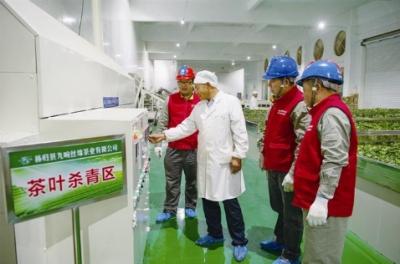 茶叶加工“煤改电” 助农脱贫增收