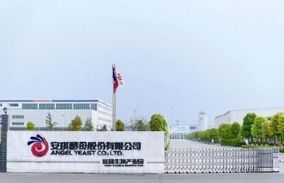 安琪入选制造业单项冠军