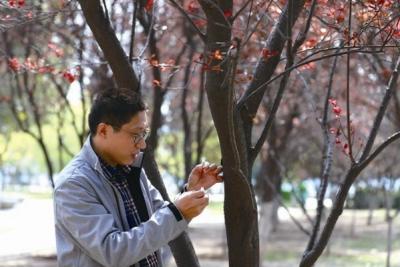 以虫治虫 高效环保