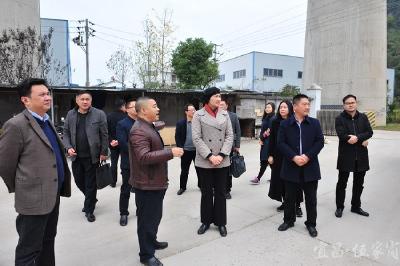 李伦华督办我区设施农业项目用地清理整治工作