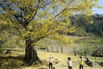 在寻找风景的路上遇见惊喜——宜昌全域旅游发展路径观察