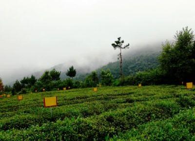 锲而不舍落实中央八项规定精神·办实事解难题丨随州曾都：探索“信托制”物业 激发居民自治热情