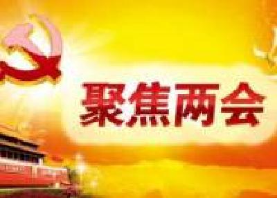 市六届人大四次会议关于宜昌市人民政府工作报告等的决议