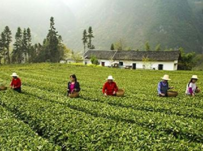 山沟沟里村民晒“账单”