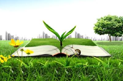 先锋谱 | 彭靖：做学生环保路上的引路人