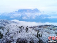 航拍湖北五峰“冰林”美景 似水晶铺满地面