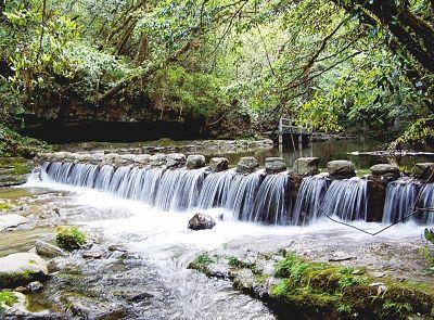先锋谱丨后河管理局：勇当生态保护排头兵