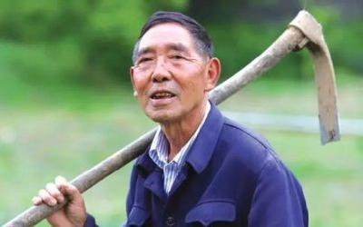 先锋谱 | 罗官章：大山里的致富领路人