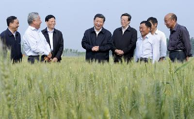【一枝一叶总关情】习近平心系中原