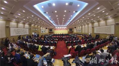 VR | 第十三届全国人大二次会议湖北代表团开放团组会