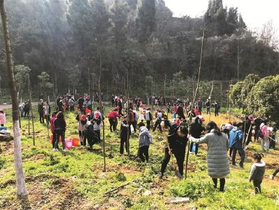 500志愿者磨基山共植“生态林”