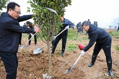 开展全民义务植树活动　推进长江岸线造林绿化