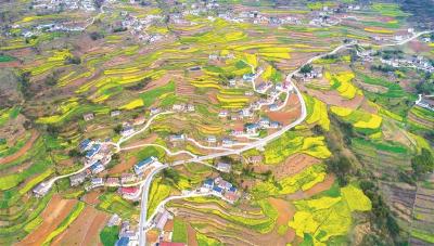 春天调色 大地多彩