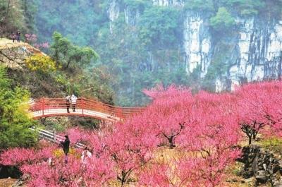 与春天相约 宜昌城区赏花地图发布    