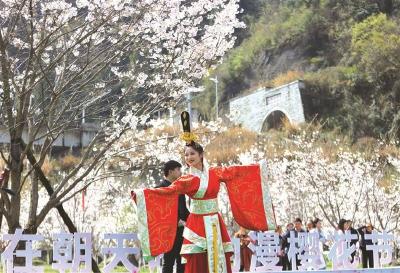 春花烂漫时节 邀君来宜共赏