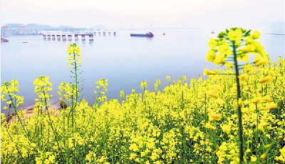 湖北日报 | 三峡库区 春意盎然