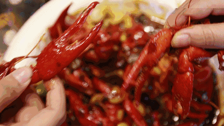 @吃货们，今年的小龙虾已经来了！